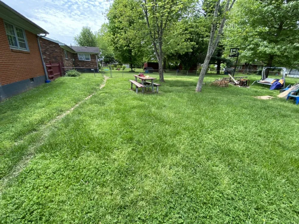 Custom yard maintenance experts serving Springfield, KY - Schmitty’s Lawn Care