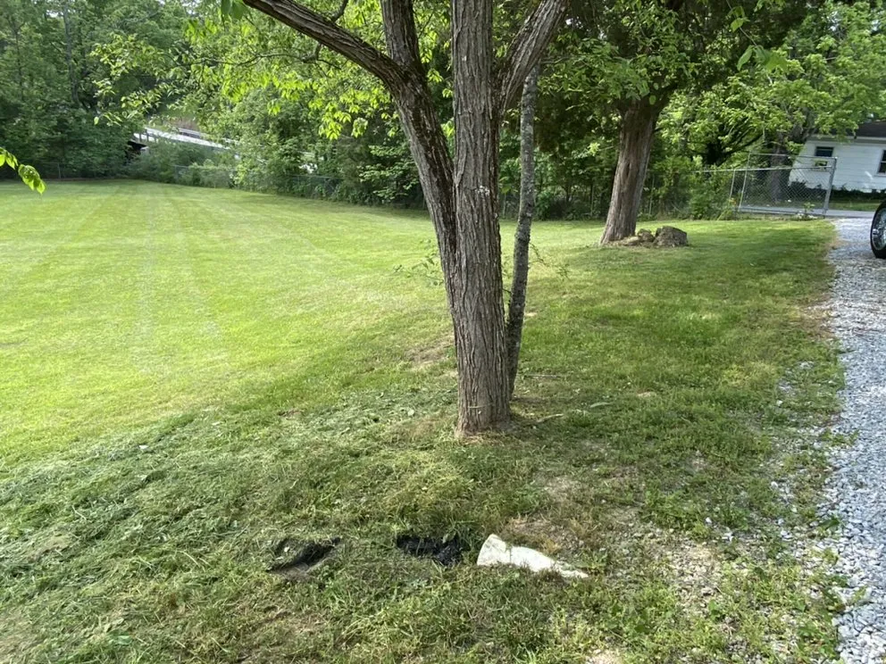 Reliable garden landscaping experts serving Springfield, KY - Schmitty’s Lawn Care