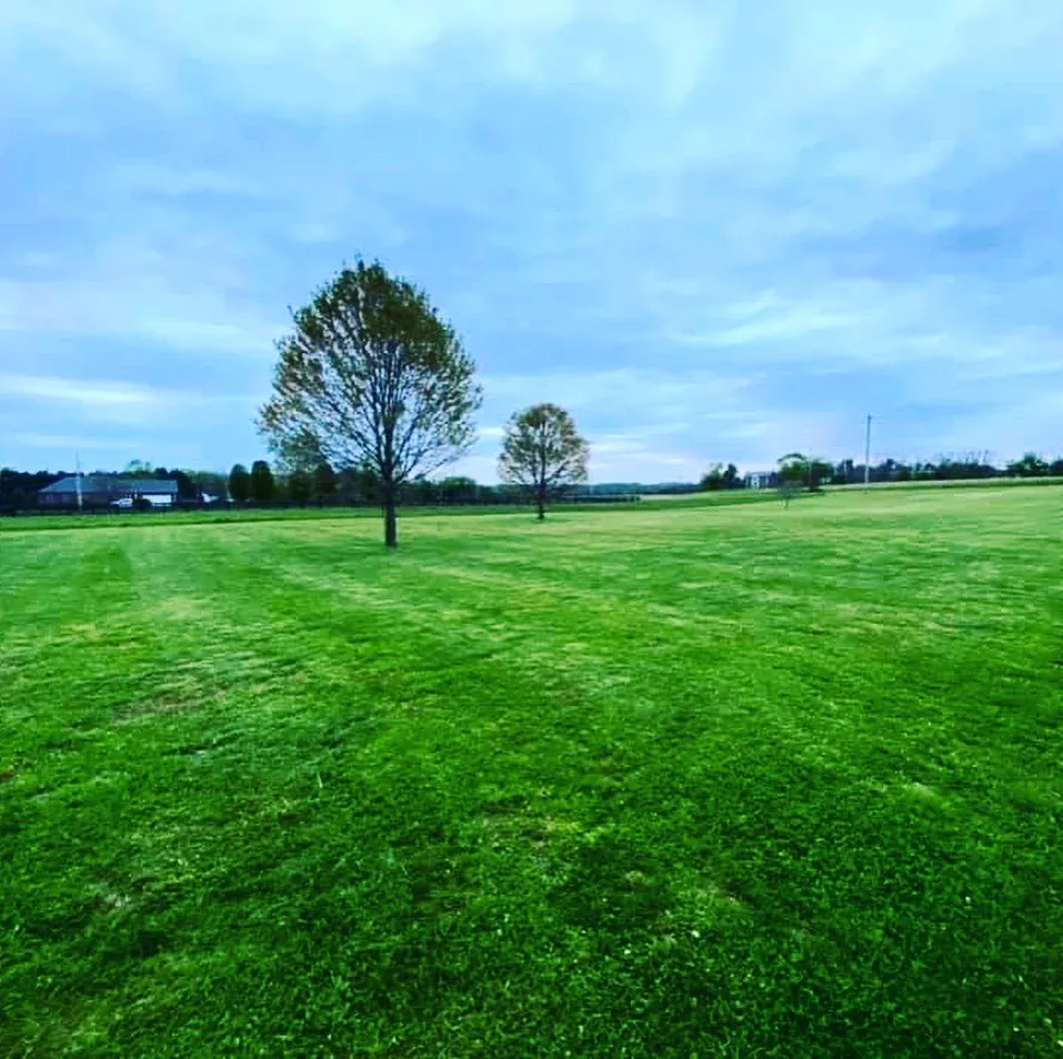 Trusted yard maintenance in Springfield, KY by Schmitty’s Lawn Care