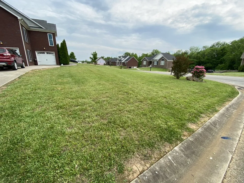 Trusted landscape design in Springfield, KY - Schmitty’s Lawn Care