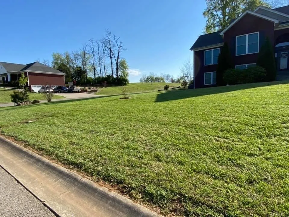 Affordable landscape design with custom design across Springfield, KY - Schmitty’s Lawn Care