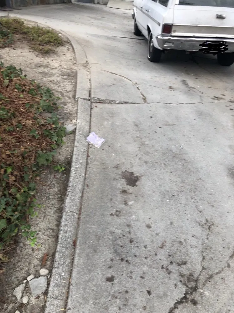 Professional landscape design in Woodland Hills, CA by Schmitz Landscape Maintenance