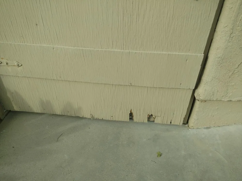 Custom landscaping services in Woodland Hills, CA - Schmitz Landscape Maintenance