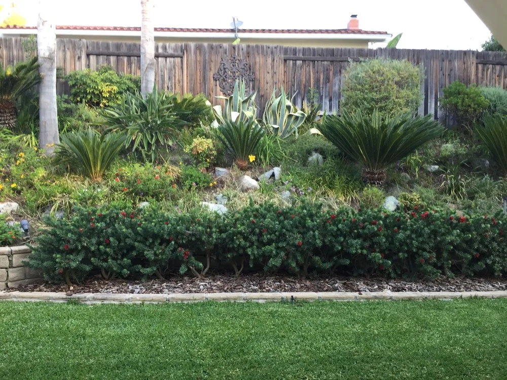 Professional residential landscaping in Woodland Hills, CA - Schmitz Landscape Maintenance