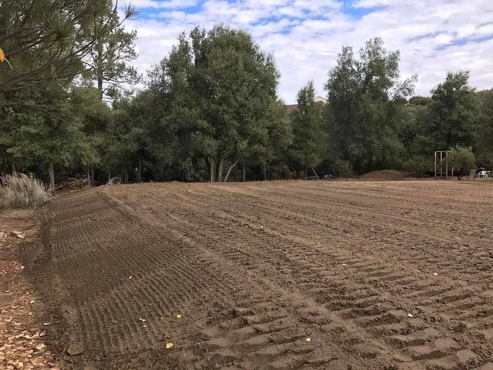 Trusted yard maintenance in Lakeside, CA by Schneider Grading & Excavating