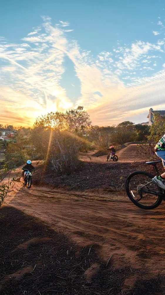 Top-rated yard maintenance in Lakeside, CA - Schneider Grading & Excavating