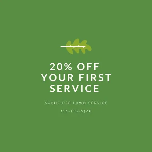 Trusted garden landscaping for residential properties in San Antonio, TX by Schneider Lawn Service