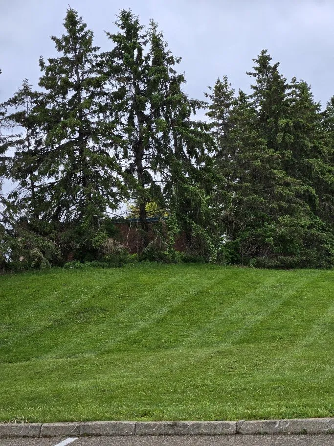 Trusted lawn mowing service in Elko New Market, MN by Schneider Outdoor Services