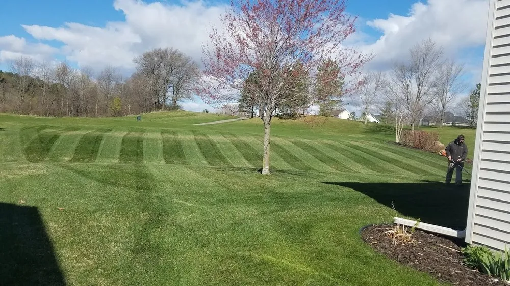 Local lawn mowing service in Elko New Market, MN - Schneider Outdoor Services