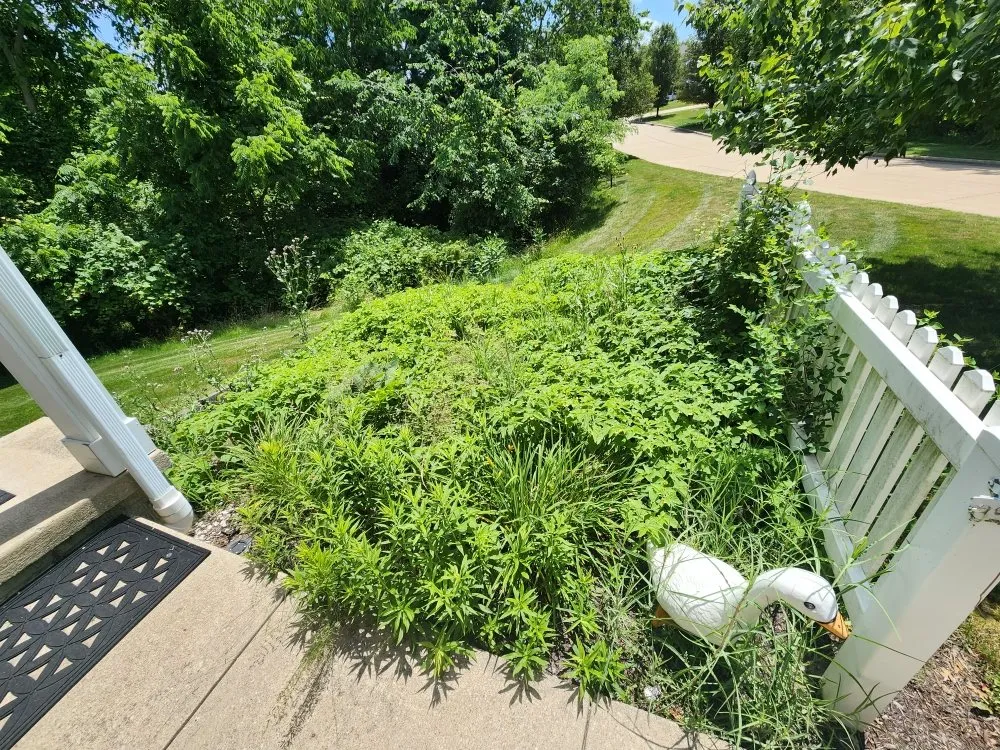 Local residential landscaping for year-round maintenance across Medina, OH - Schneider's Greenscape