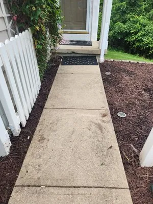 Schneider's Greenscape Logo