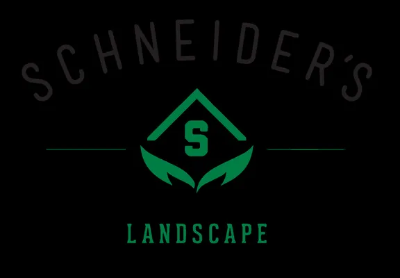 Schneider's Landscape