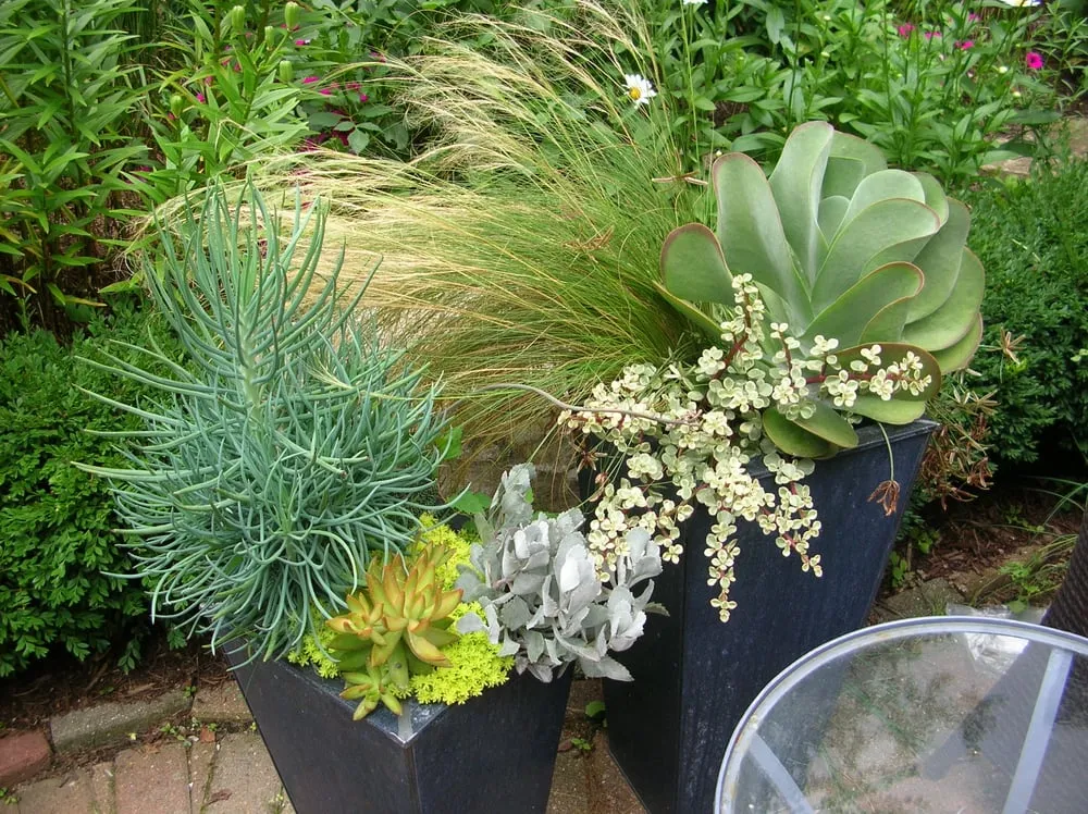 Trusted lawn care service for year-round maintenance across Sun Prairie, WI - Schönheit Gardens