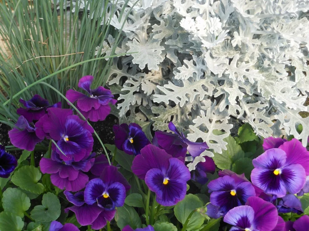 Reliable outdoor landscaping in Sun Prairie, WI by Schönheit Gardens