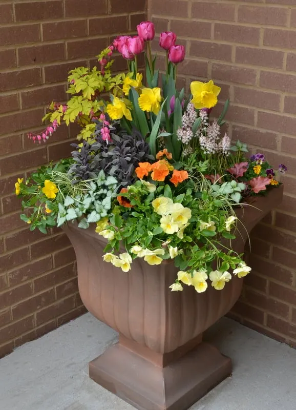 Local yard maintenance in Sun Prairie, WI by Schönheit Gardens