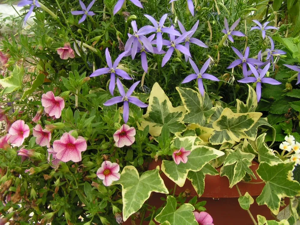 Reliable landscaping services in Sun Prairie, WI by Schönheit Gardens