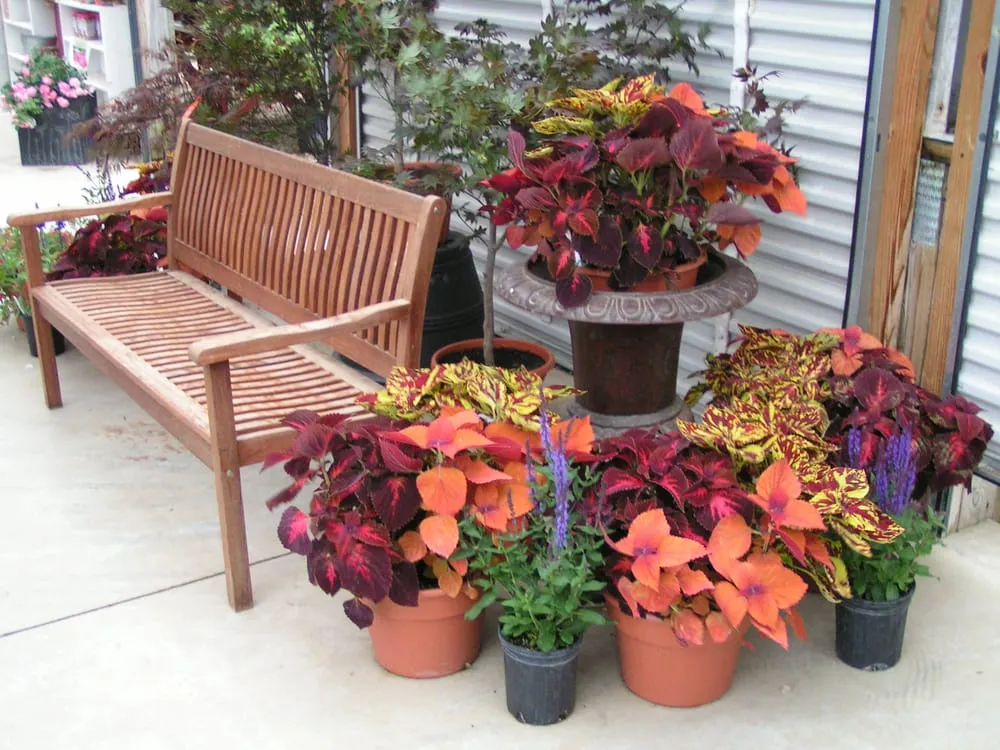 Local landscape installation with custom design across Sun Prairie, WI - Schönheit Gardens