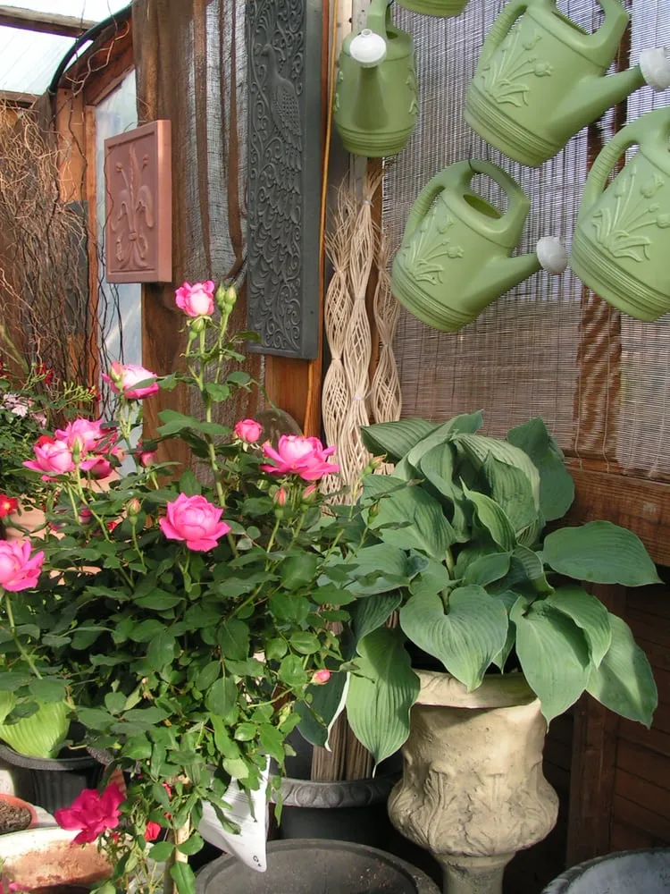 Reliable lawn mowing service experts serving Sun Prairie, WI - Schönheit Gardens