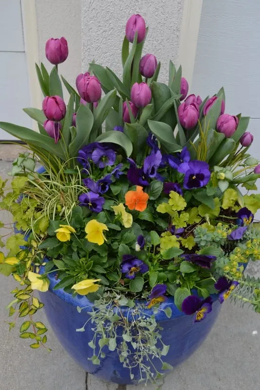 Local outdoor landscaping for homes in Sun Prairie, WI by Schönheit Gardens