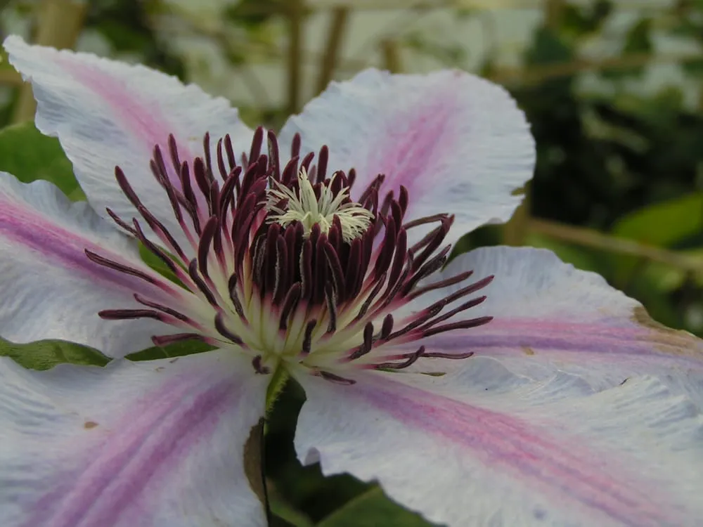 Affordable outdoor landscaping experts serving Sun Prairie, WI - Schönheit Gardens