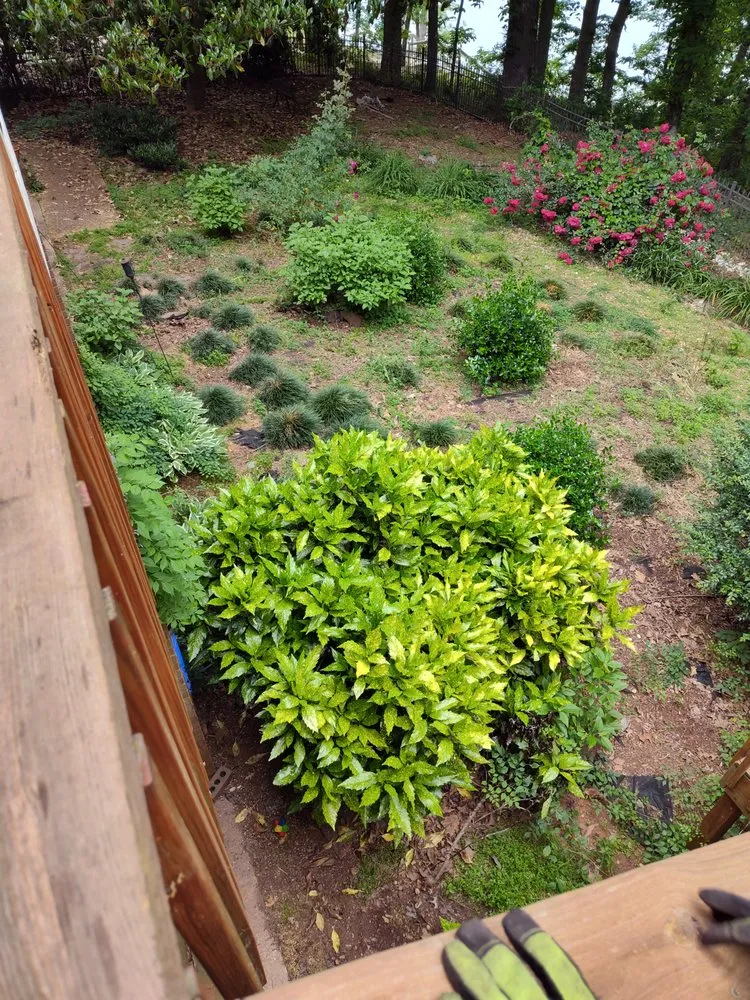 Affordable lawn mowing service in Hartwell, GA by Schnieder Services