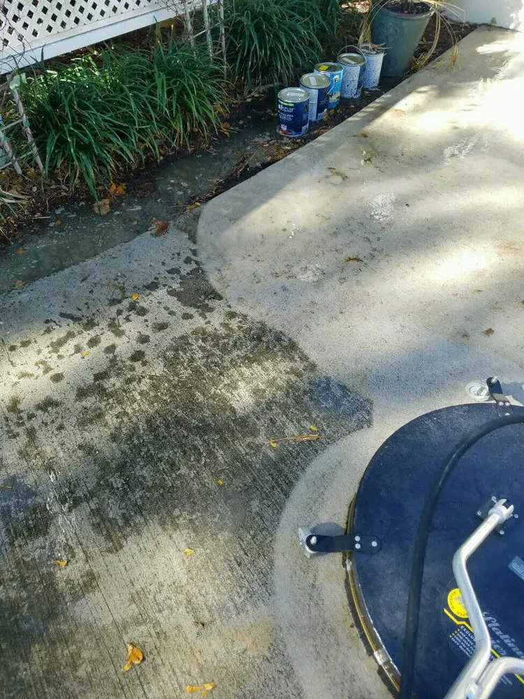 Custom landscaping services for outdoor upgrades across Jupiter, FL - Schoen Property Specialist