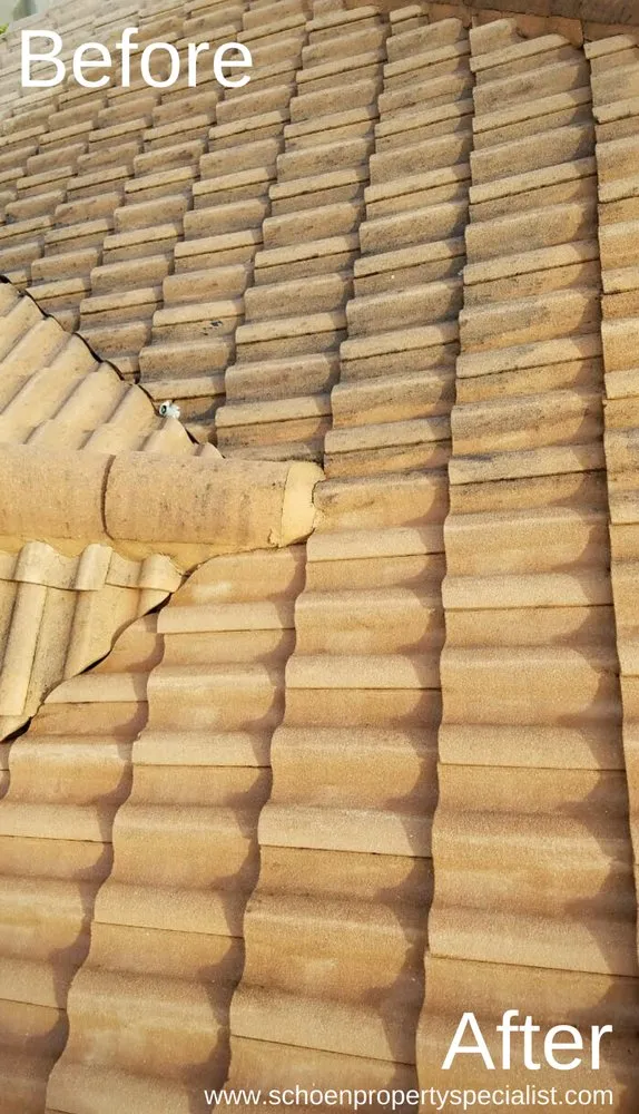 Reliable yard cleanup service experts serving Jupiter, FL - Schoen Property Specialist