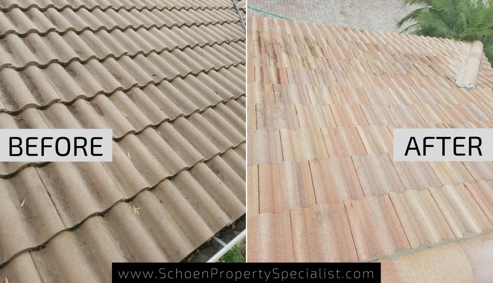 Custom lawn care service in Jupiter, FL - Schoen Property Specialist