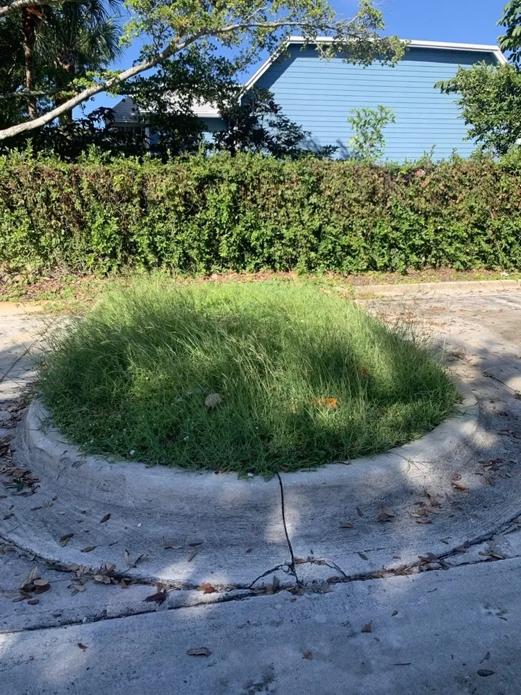 Reliable garden landscaping in Jupiter, FL - Schoen Property Specialist