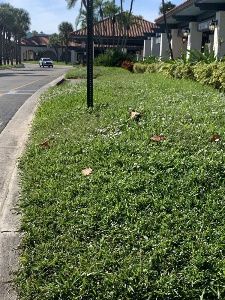 Trusted landscape installation in Jupiter, FL by Schoen Property Specialist