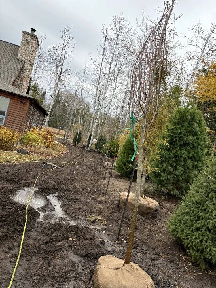 Top-rated lawn care service in Indian River, MI by Schofield Landscape