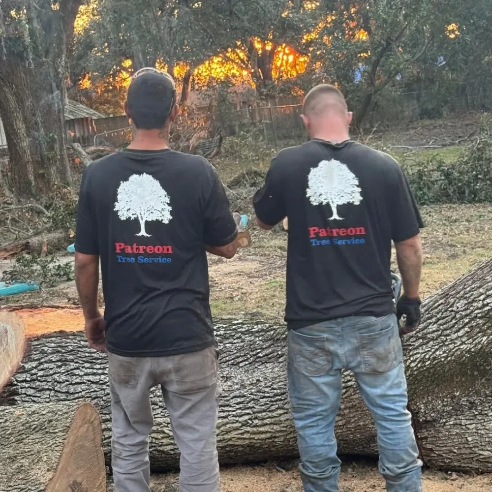 Local lawn mowing service in Valrico, FL - Schofields Land Management