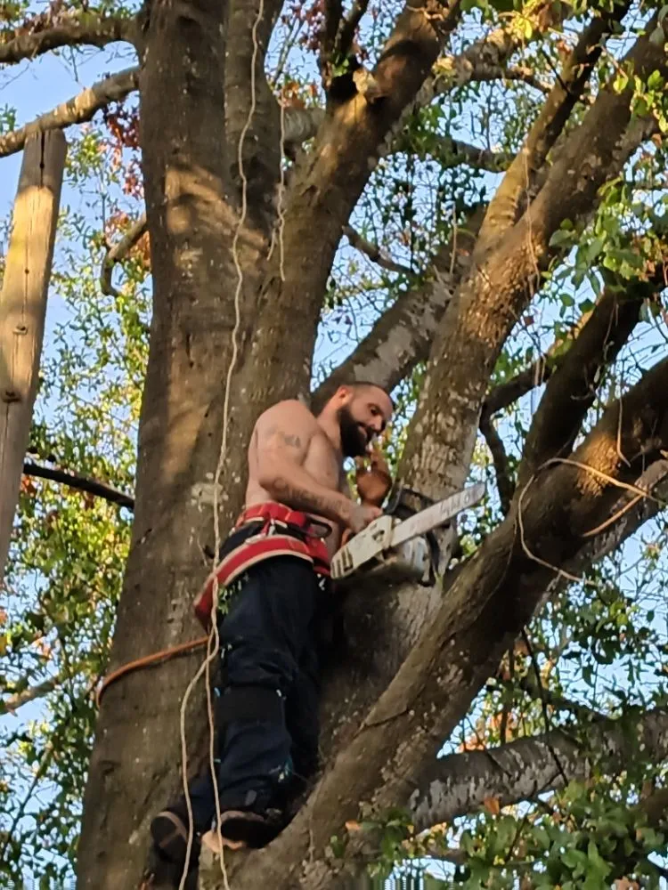 Reliable garden landscaping for homes in Valrico, FL by Schofields Land Management