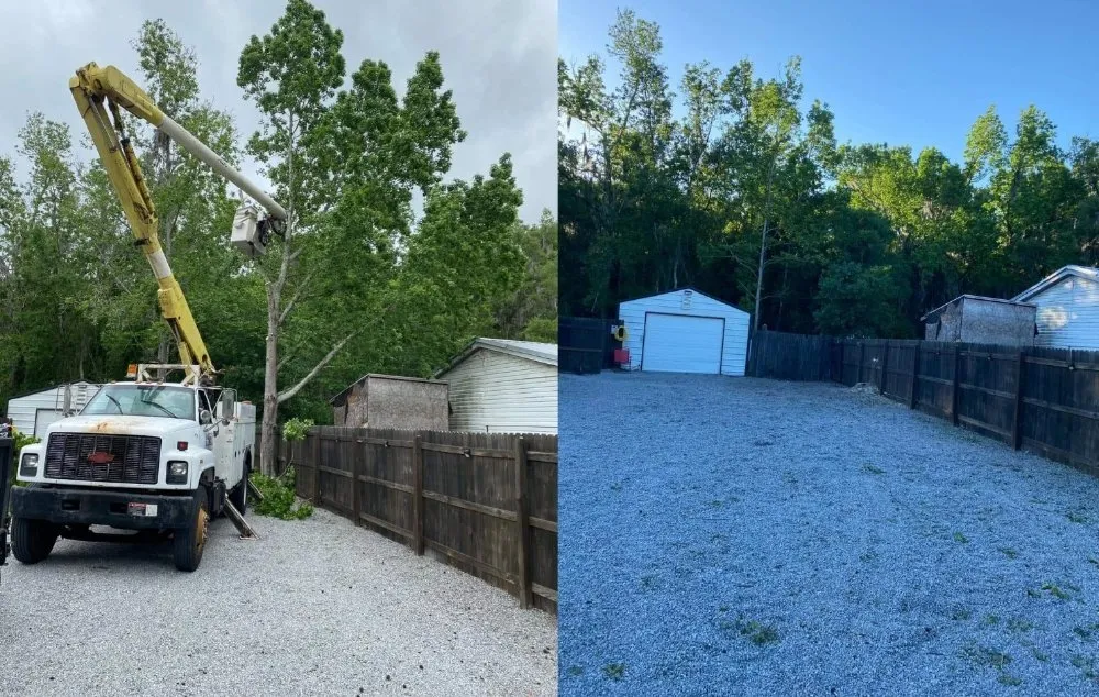 Local lawn mowing service experts serving Valrico, FL - Schofields Land Management