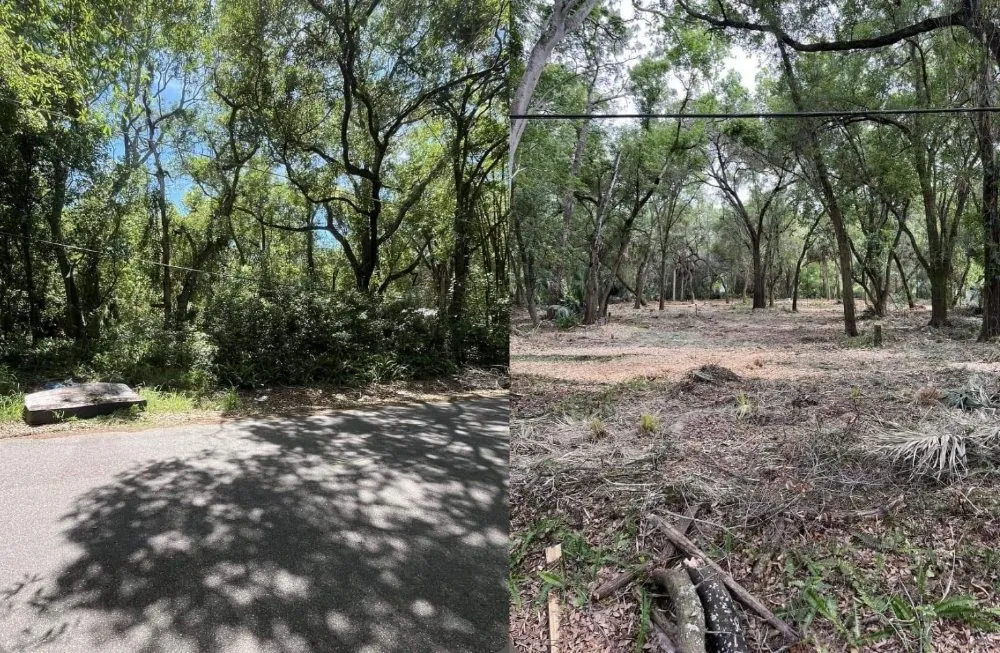 Reliable landscaping services experts serving Valrico, FL - Schofields Land Management