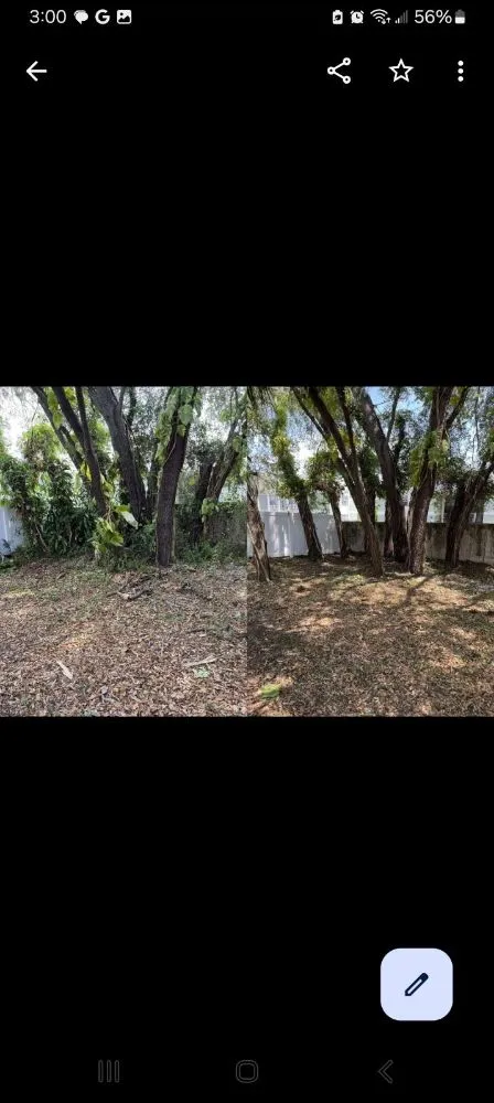 Expert landscaping services in Valrico, FL by Schofields Land Management