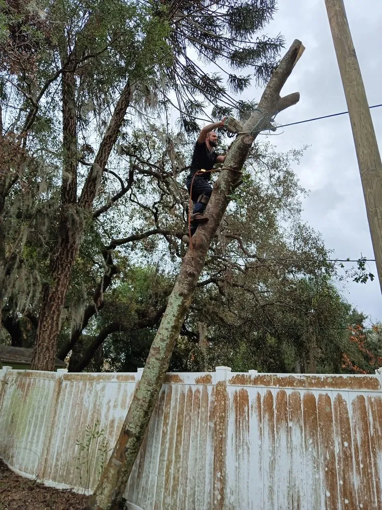 Top-rated garden landscaping experts serving Valrico, FL - Schofields Land Management