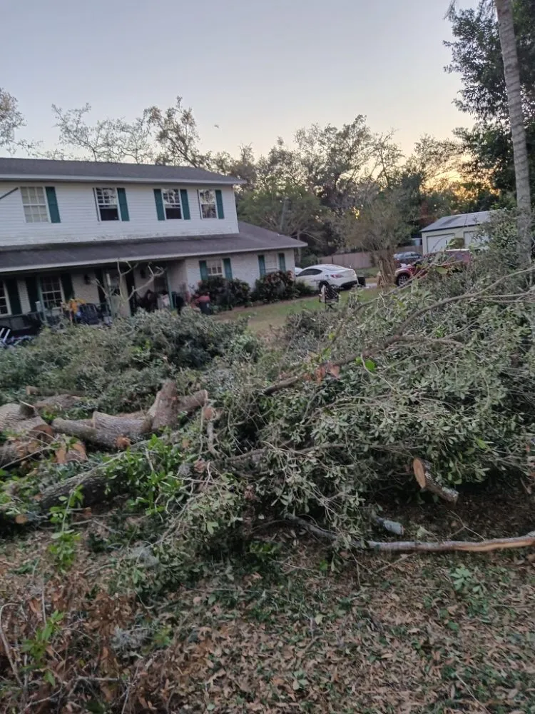 Affordable yard cleanup service experts serving Valrico, FL - Schofields Land Management