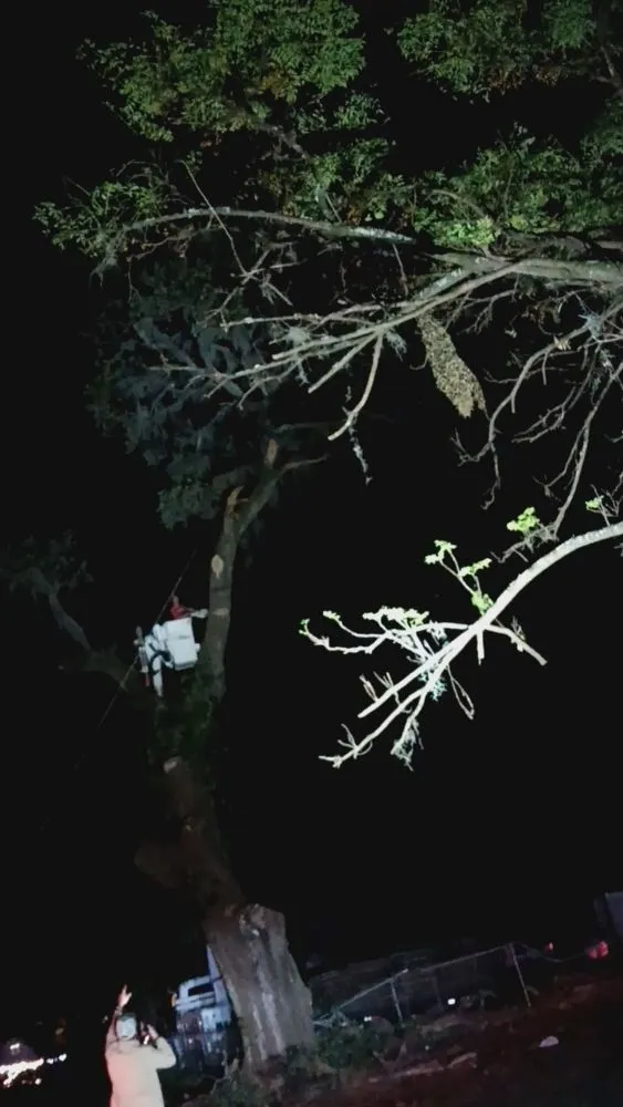 Reliable lawn mowing service for outdoor upgrades in Valrico, FL by Schofields Land Management