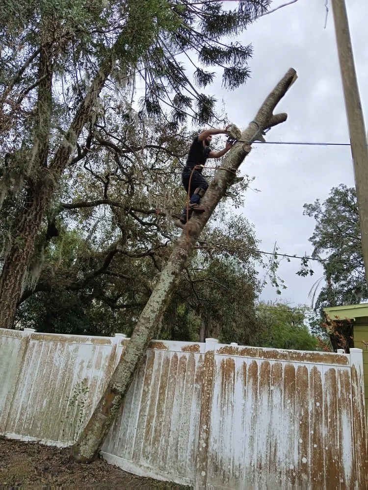 Trusted lawn mowing service for beautiful yards across Valrico, FL - Schofields Land Management