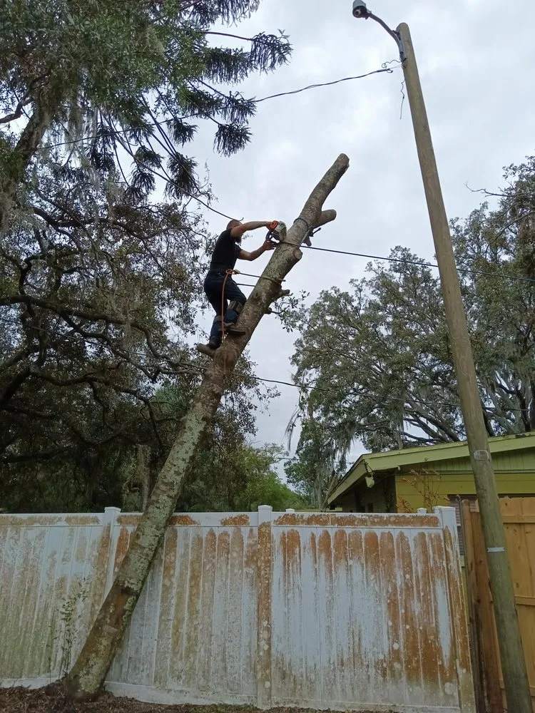 Expert landscaping services for residential properties in Valrico, FL by Schofields Land Management