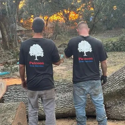 Schofields Land Management Logo