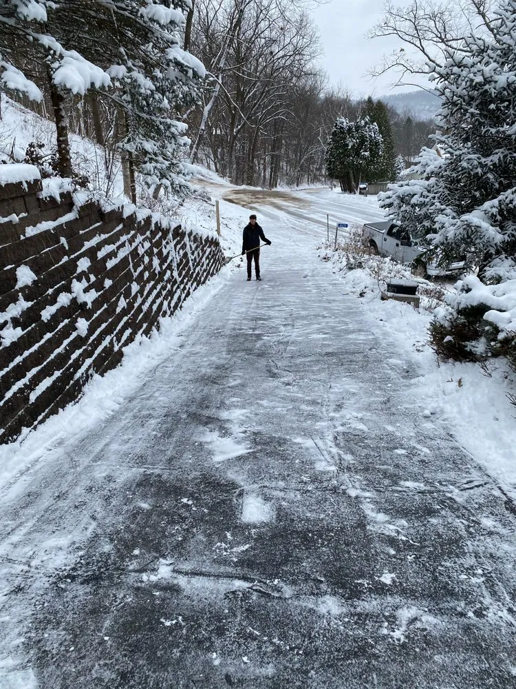 Local yard cleanup service with custom design in La Crosse, WI by Scholarly Services