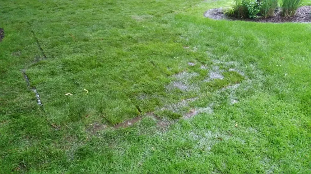 Reliable landscape installation experts serving Big Rock, IL - Schollmeyer Landscaping