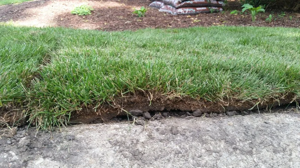 Trusted lawn mowing service in Big Rock, IL - Schollmeyer Landscaping