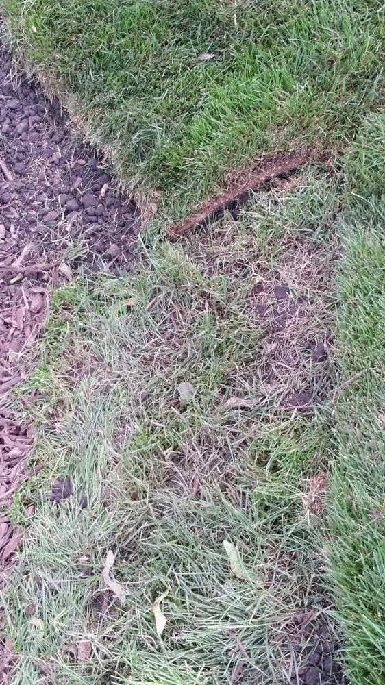 Local lawn care service in Big Rock, IL by Schollmeyer Landscaping