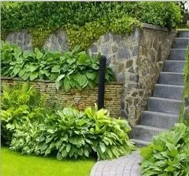 Expert lawn mowing service in Robbinsville, NJ - Scholl's Landscaping & Lawn Maintenance