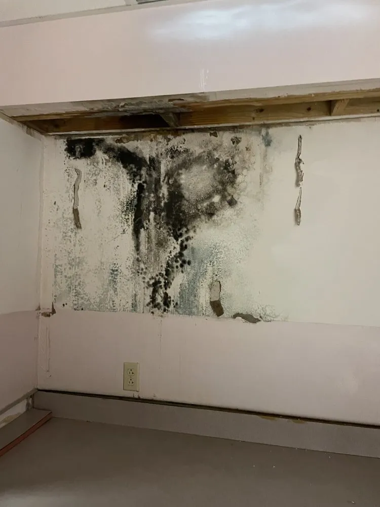 Trusted landscaping services in Granite City, IL by Schones Home Services