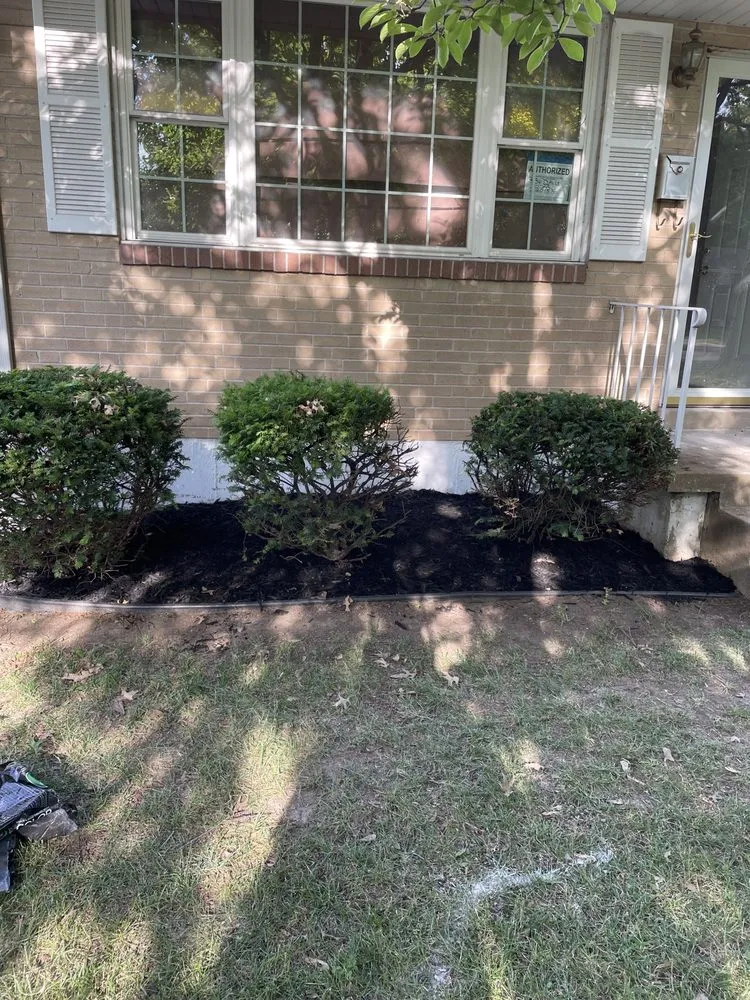 Expert landscape design in Granite City, IL by Schones Home Services