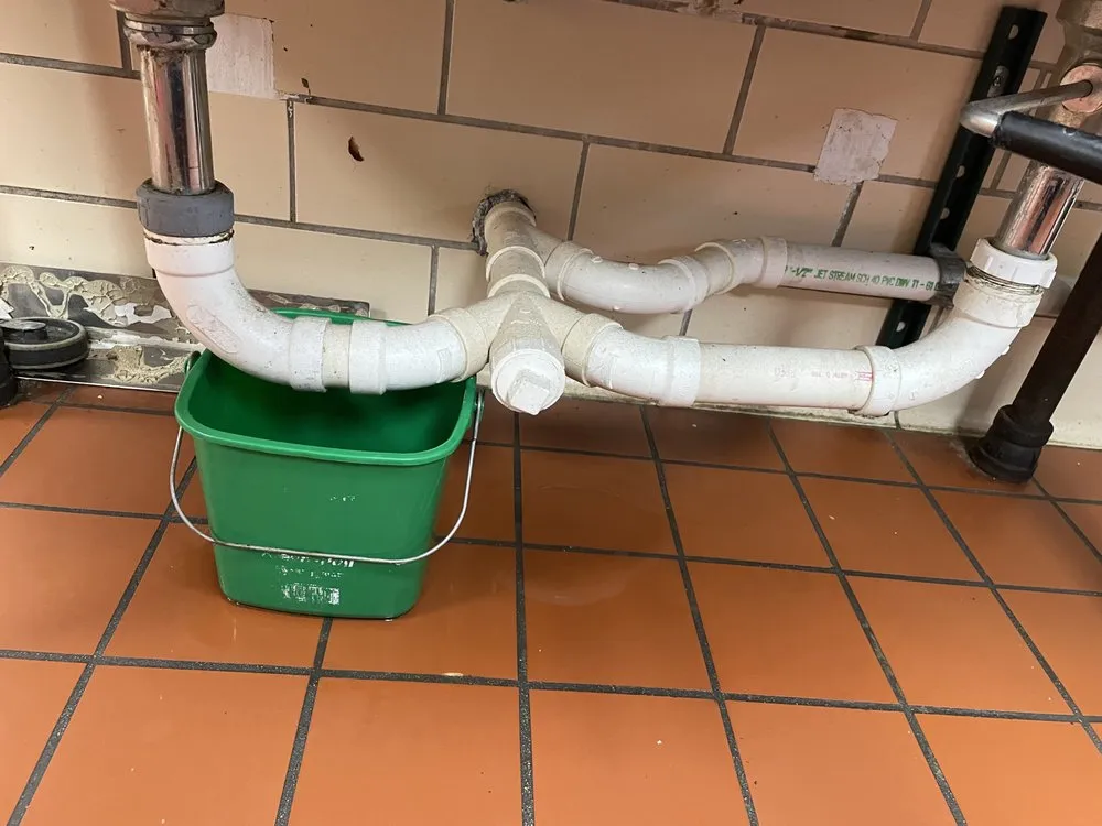 Expert yard cleanup service in Granite City, IL by Schones Home Services